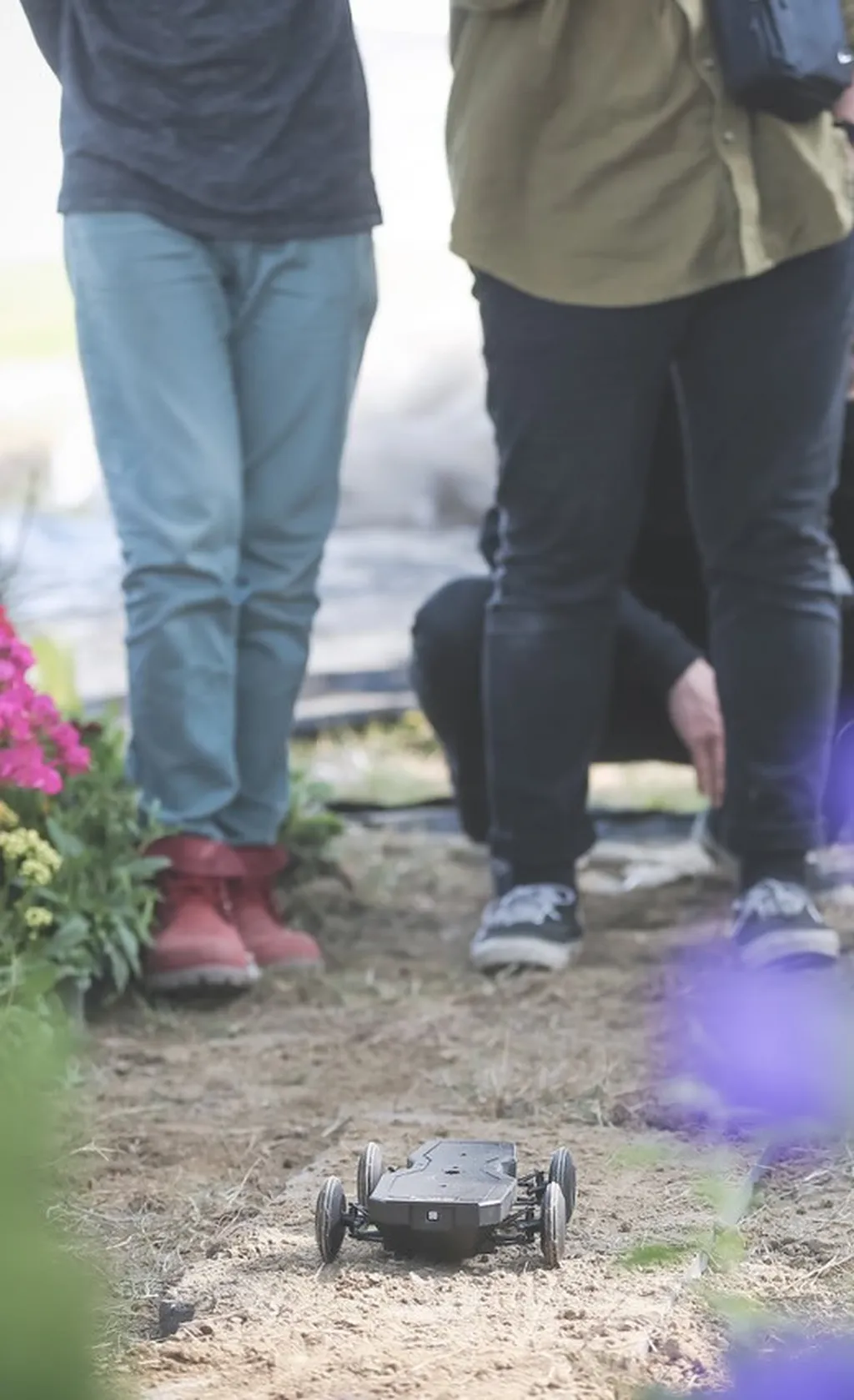 讓農場「開光」 太陽能辦到了！