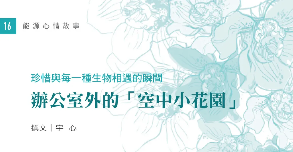 珍惜與每一種生物相遇的瞬間--辦公室外的「空中小花園」
