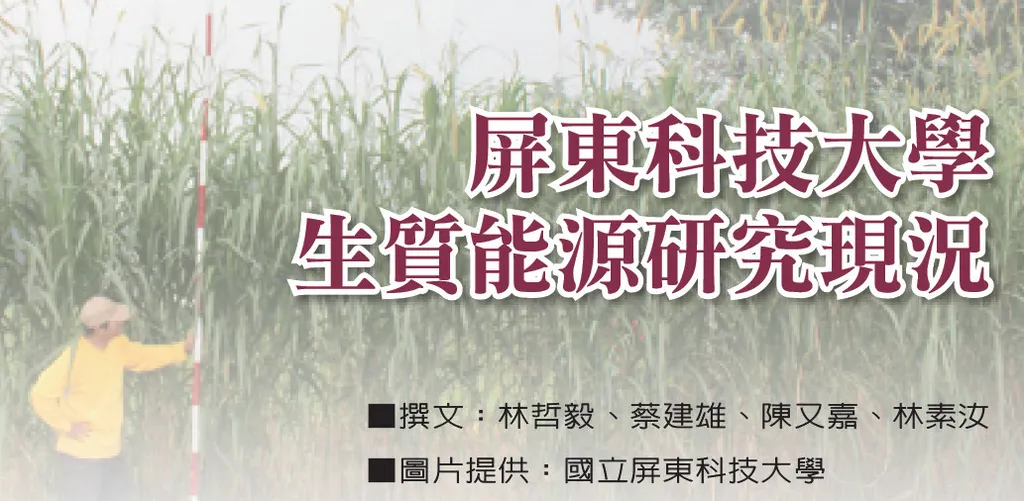 屏東科技大學生質能源研究現況