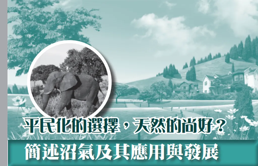 終點前的回顧與反思——國際新聞與能源之間